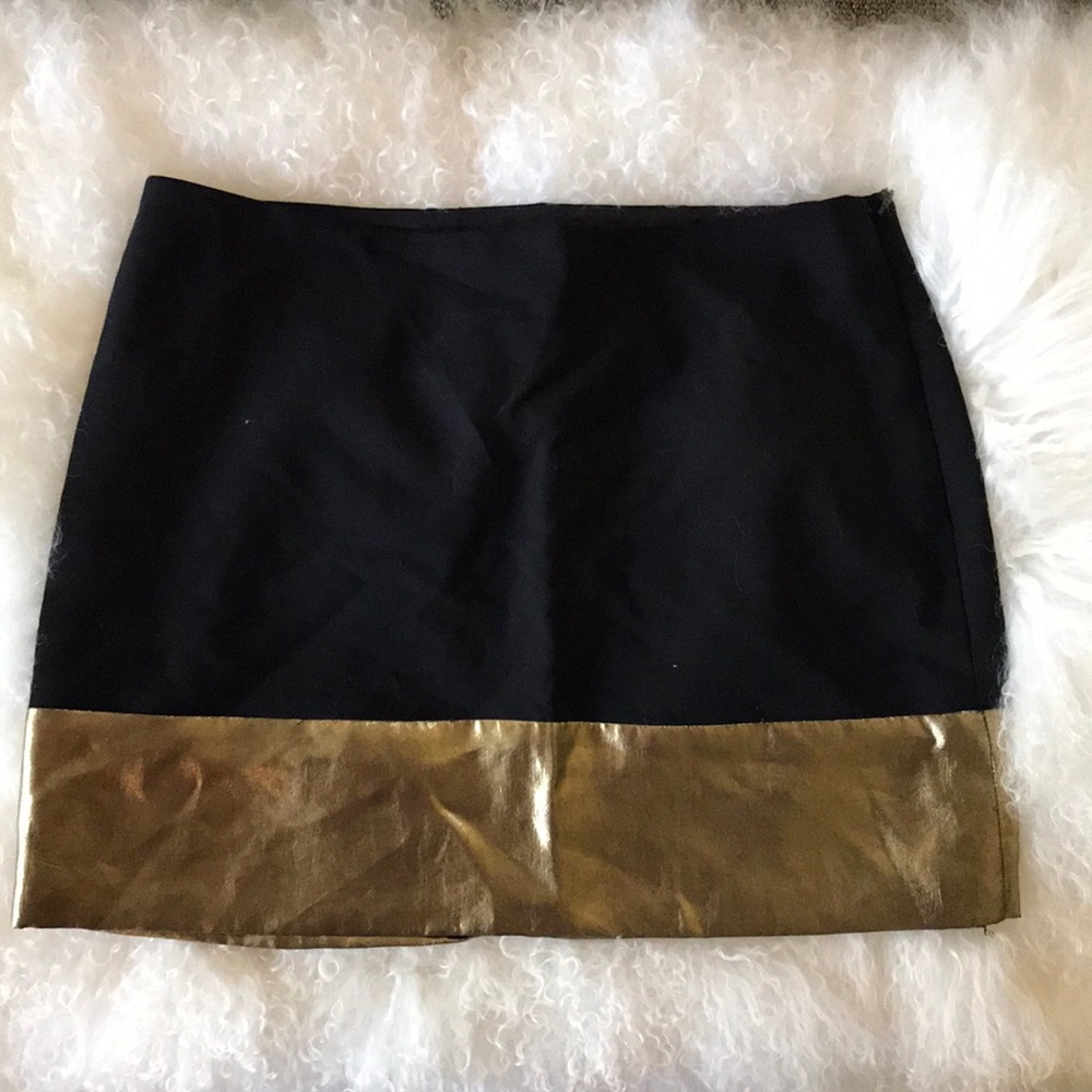 Express Skirt